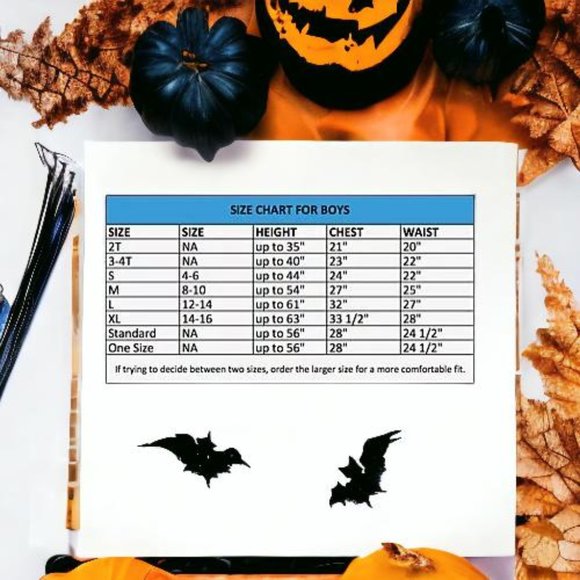 Teenage Mutant Ninja Turtles Leonardo Costume Kids Large 12-14 Deluxe Costume - Picture 2 of 10